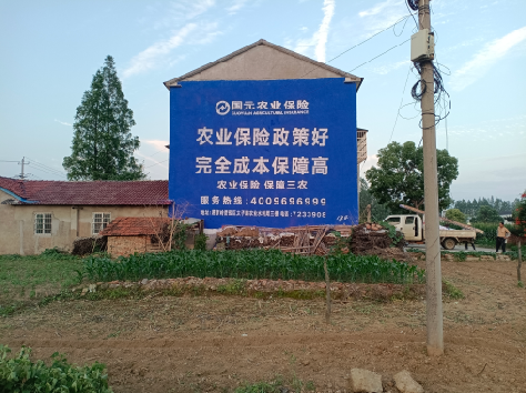 石城墙体广告的优劣势你知道吗？